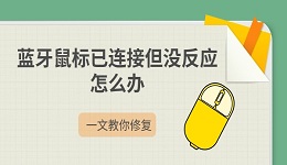 蓝牙鼠标已连接但没反应怎么办 一文教你修复
