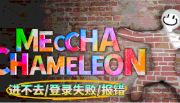 MECCHA CHAMELEON进不去/登录失败/报错？全解决方案汇总