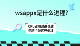 wsappx是什么进程？CPU占用过高导致电脑卡顿这样处理