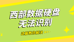西部数据硬盘无法识别？从排查到数据恢复，这篇全搞定
