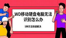 WD移动硬盘电脑无法识别怎么办 5种方法快速解决