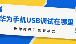 华为手机USB调试在哪里？教你打开开发者模式