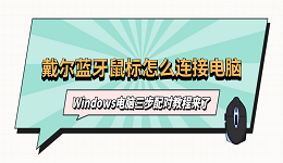 戴尔蓝牙鼠标怎么连接电脑？Windows三步配对教程来了