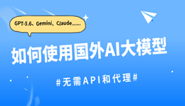 如何使用国外AI大模型？无需API和代理！