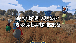 Big Walk闪退卡顿怎么办？老司机手把手教你排查修复