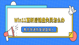 Win11更新后键盘失灵怎么办？教你快速恢复键盘输入