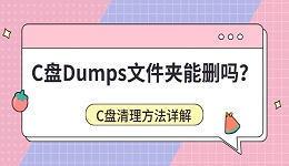 C盘Dumps文件夹能删吗？C盘清理方法详解